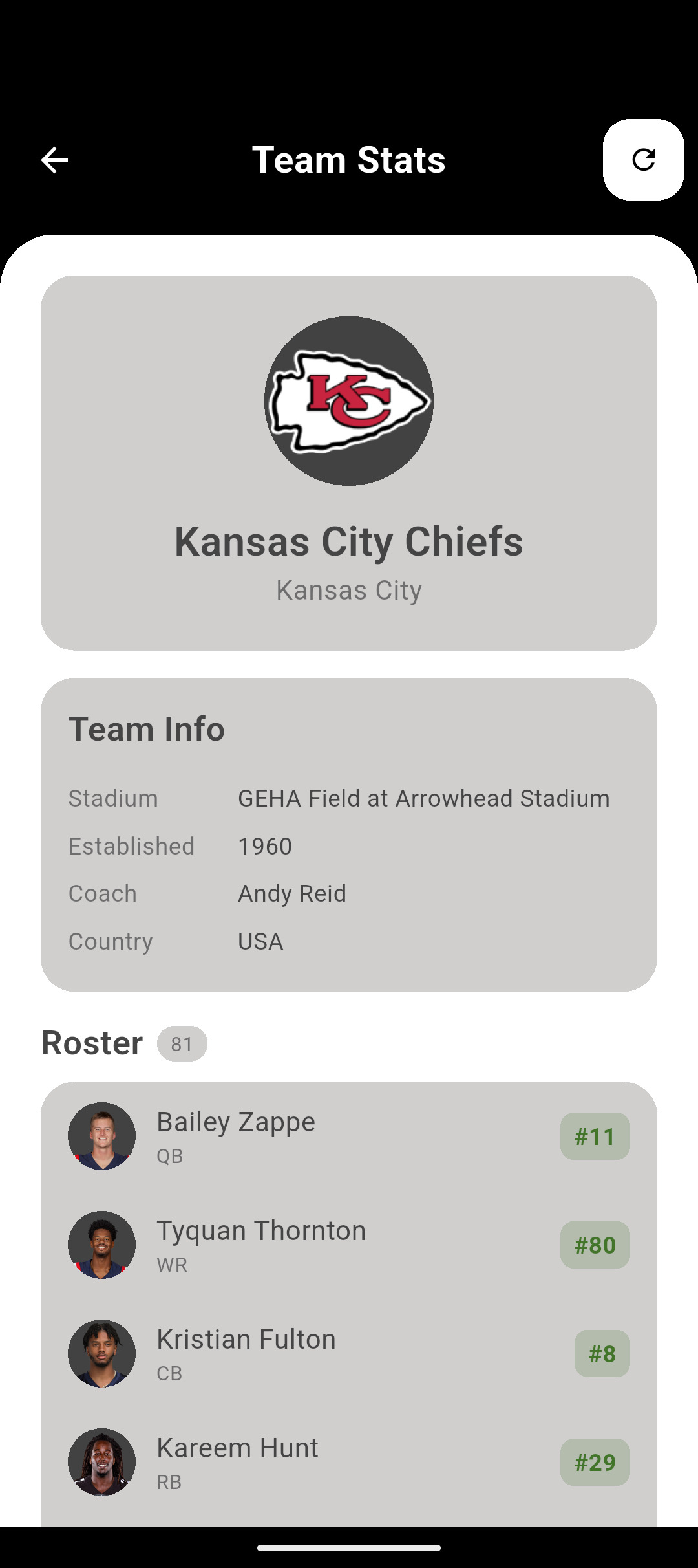 Draft Football Insight Tracker - Standings